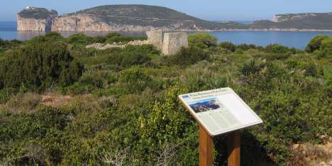 Boom di visitatori a Punta Giglio e Prigionette