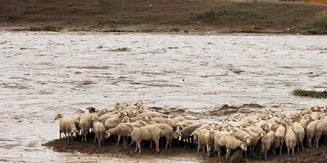 Alluvione, danni per 660 milioni. La Regione non ha tutti i soldi