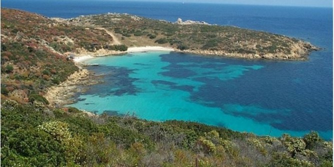 Asinara: in scadenza bando <i>Fish & cheap</i>