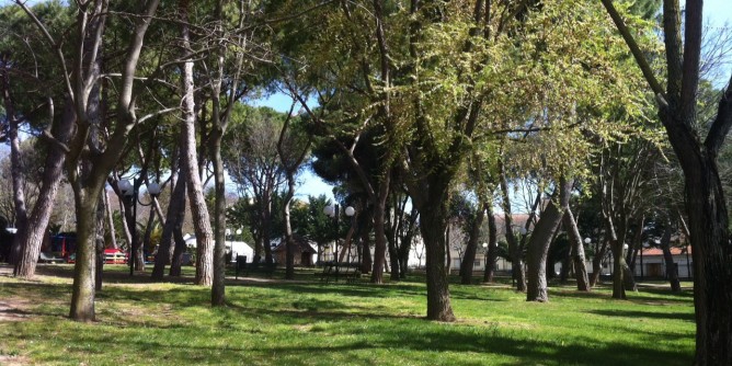 Potature ad Alghero: 1800 gli alberi interessati