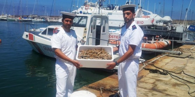 Porto Torres, sequestrati 10 Kg di cannolicchi 