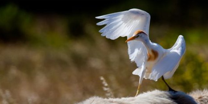 Corso di fotografia a Olbia