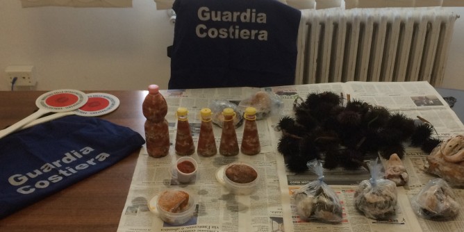 Olbia-Alghero: 60 kg di ricci sequestrati, multe