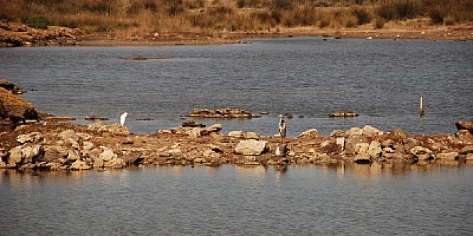 Asinara: Regione rafforza servizio di tutela ambientale 