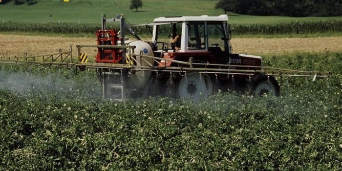 Regione: Pioggia di euro per l´agricoltura