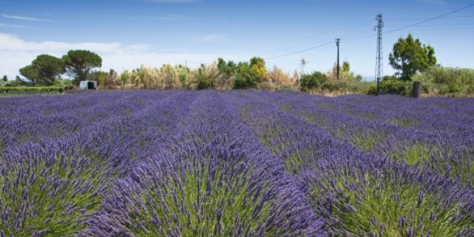 La prima <i>Academy</i> dell´agricoltura italiana