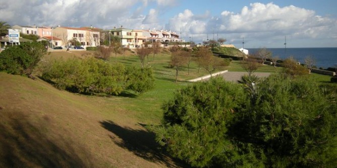 Piante allergeniche: azioni di contrasto a Porto Torres