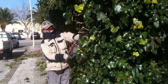 Porto Torres: erbicidi e sfalcio contro piante allergeniche