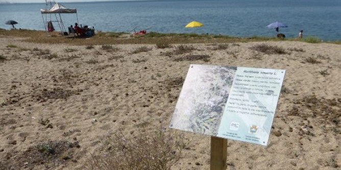 Salvamento a mare: bando per Torre Grande 