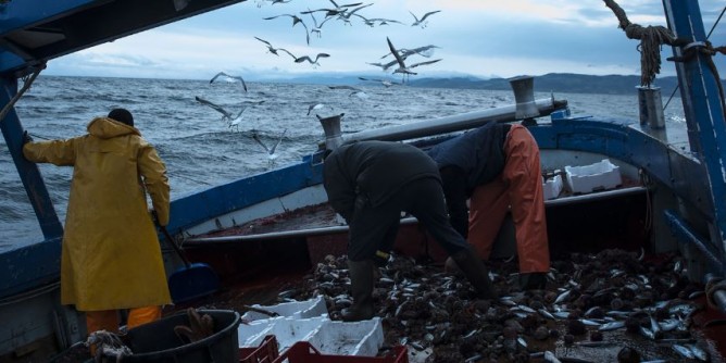 Pesca, 36mln di fondi per interventi Feamp