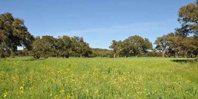 Paesaggio rurale: contributi europei