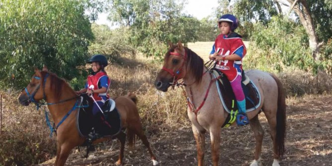 Pony Fise: domenica la finale ad Osilo