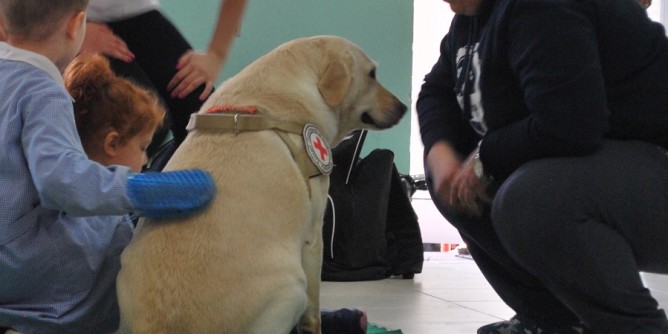 Pet Therapy diventa cura ufficiale per i sardi