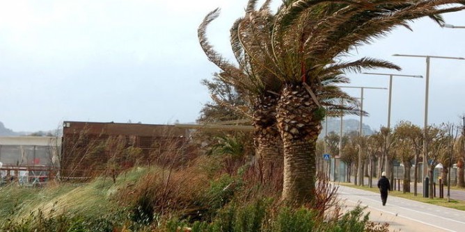 Temporali e vento: Mercoled allerta meteo