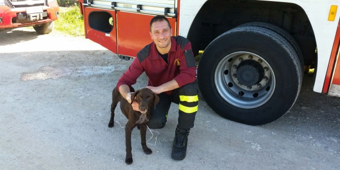 Ittiri: ritrovato cane da caccia