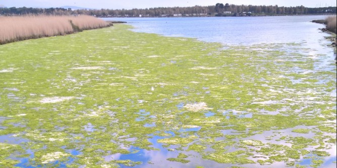 Reflui, Abbanoa nega la disconnessione: caos 