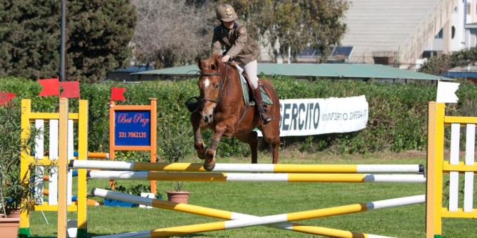 Concorso ippico nazionale salto ostacoli