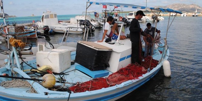 Pesca e acquacoltura: via libera al Comitato tecnico consultivo