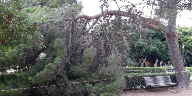 Forte vento a Sassari: interventi sul territorio