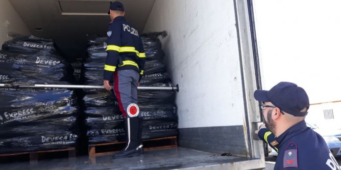 Trasportava cozze non in regola, sanzioni nel porto turritano