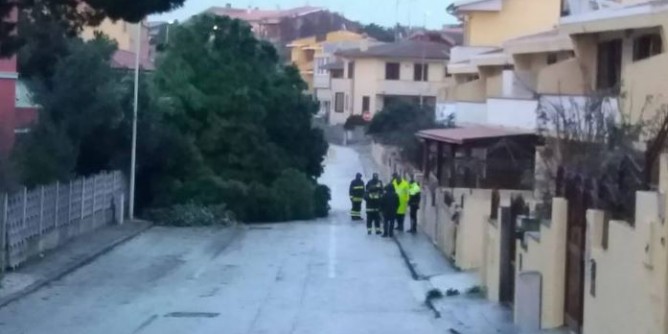 Maltempo a Porto Torres: il vento fa strage di alberi