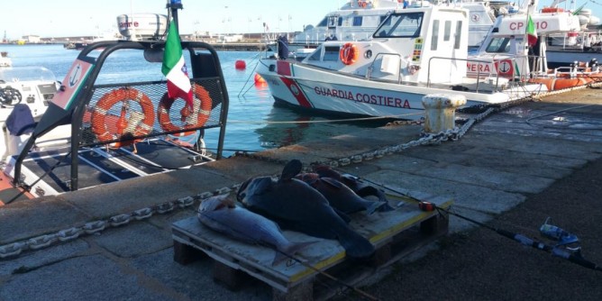 Asinara: 50 chili di pesce sequestrati, sub denunciati