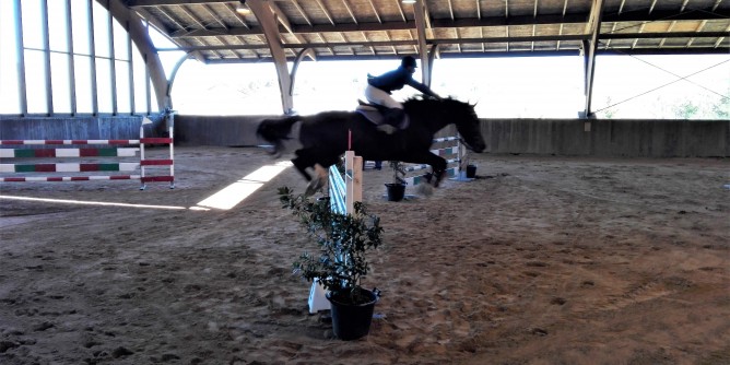 Equitazione: Guspini vince il Trofeo del Goceano