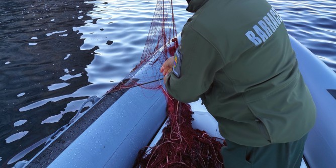 Rete in area marina: sequestro a Capo Caccia