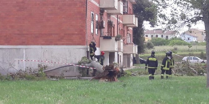 Porto Torres: grosso albero sradicato dal vento