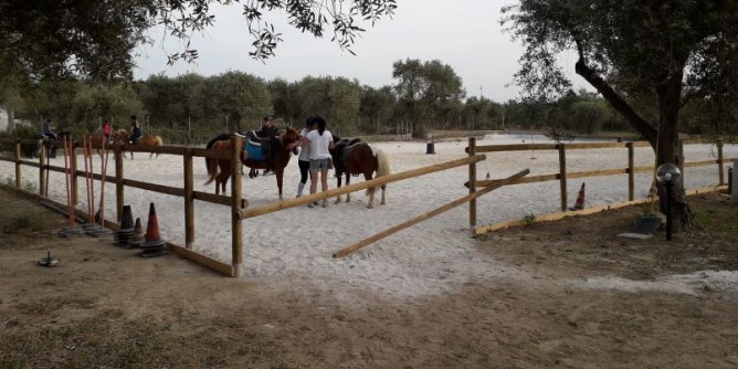 Educazione a cavallo: progetto Agor Porto Torres