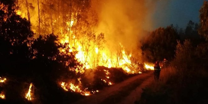 A luglio, due incendi al giorno nel Nuorese