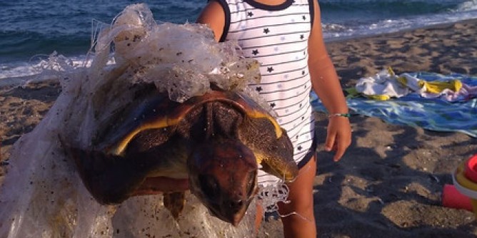 Plastica in mare: la tartaruga non ce l'ha fatta