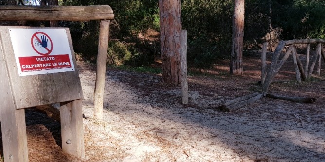 Dune e divieti: cartelli e controlli. Pi decoro in pineta a Maria Pia