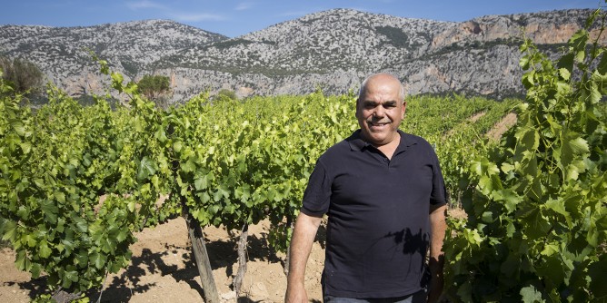 Vino, a Dorgali nasce il toponimo Vigna di Oddoene