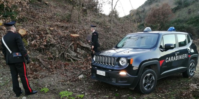 Tagliano e rubano legna, tre arresti a Ittiri