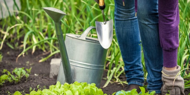 Orti sinergici: inclusione lavorative dei disabili