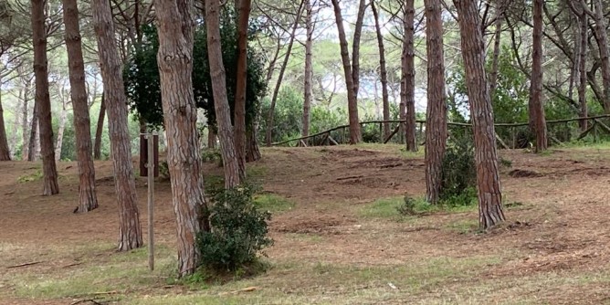 Nuove passerelle nella pineta Maria Pia