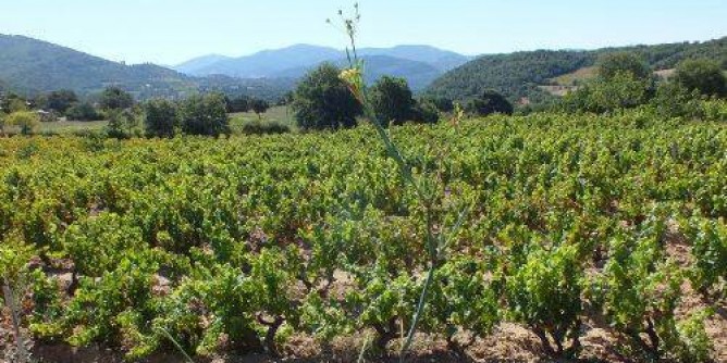 Quarta giornata di caccia ad ottobre in Sardegna