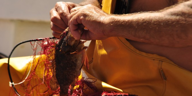 Il Parco <i>rimanda</i> i pescatori al Ministero