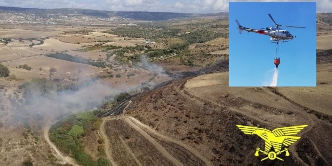 Fiamme ad Orani, in campo la Forestale