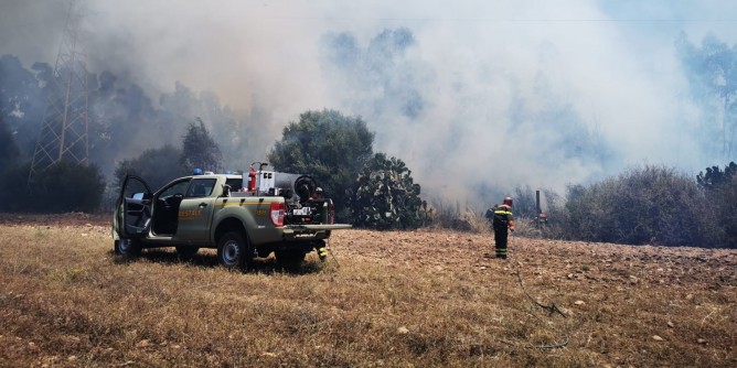 Eucalipti in fiamme a Sassari, soccorsi da Alghero