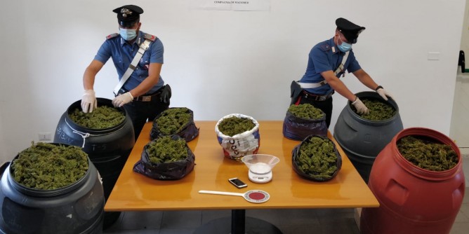 Macomer: 55<i>kg</i> di marijuana nel box