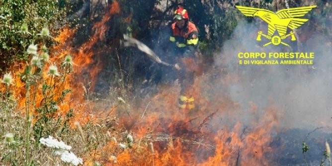 Incendi, anni di lavoro in cenere