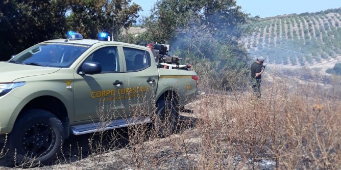 Pauroso incendio tra Sassari, Olmedo e Alghero