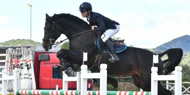 Salto Ostacoli: il campione  Carboni su Rubacuori Baio