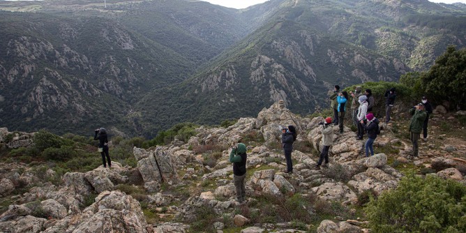 Foreste aperte nel Parco di Tepilora