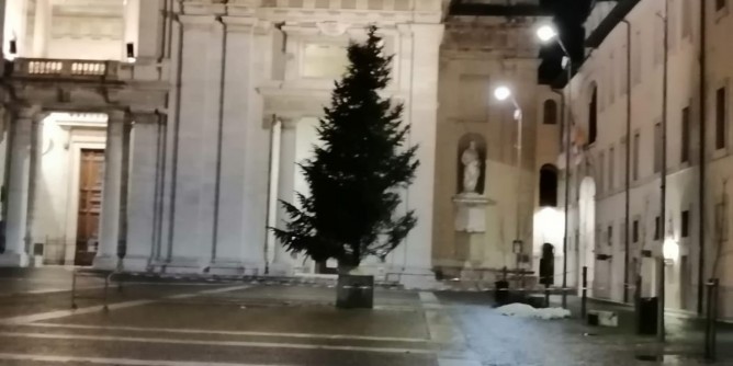 Dalla Sardegna un <i>albero</i> ad Assisi