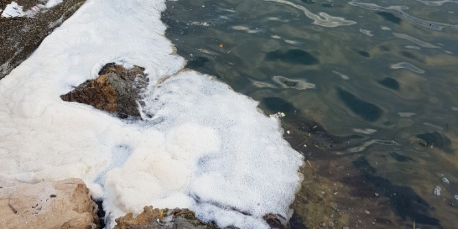 Schiuma nel porto: il Wwf chiede attenzione