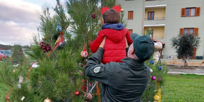 Ad Alghero L´albero dei colori