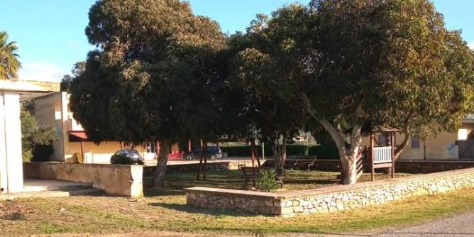 Adotta un albero a Sa Segada